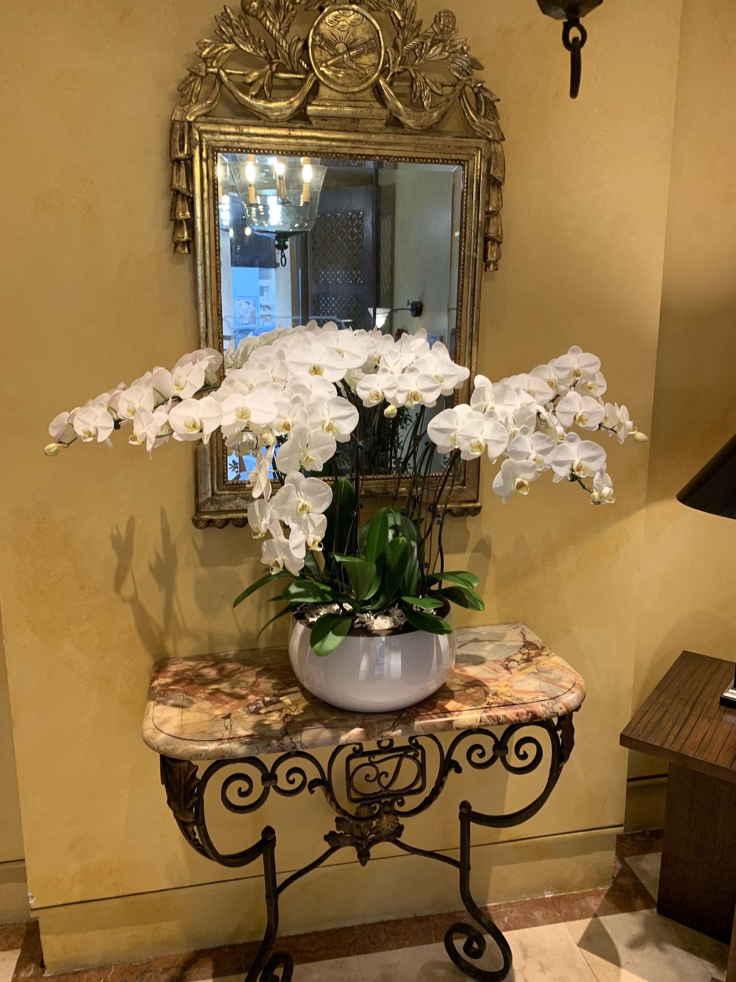 Vista Lobby Hotel Delavigne