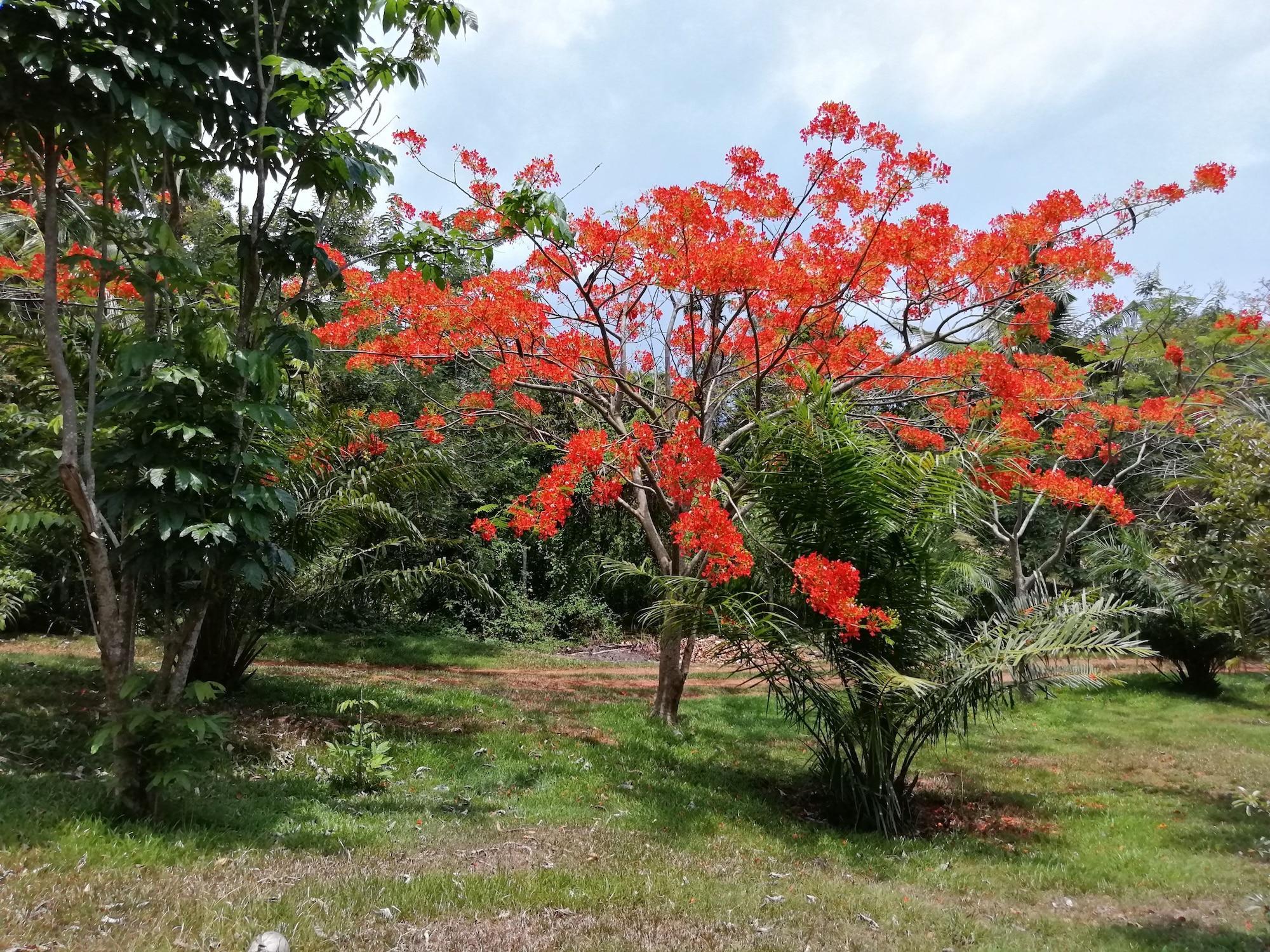 Vista Exterior Q Bungalows