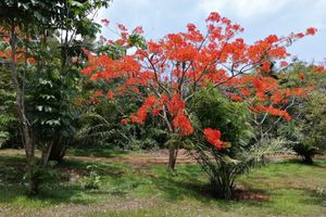 Alojamiento - Q Bungalows