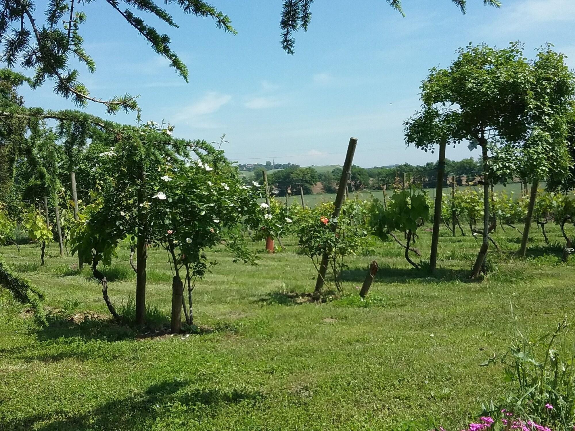 Vista Exterior La Pasteliere