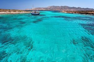 Actividad - Crucero diario a Delos y Mykonos desde Paros
