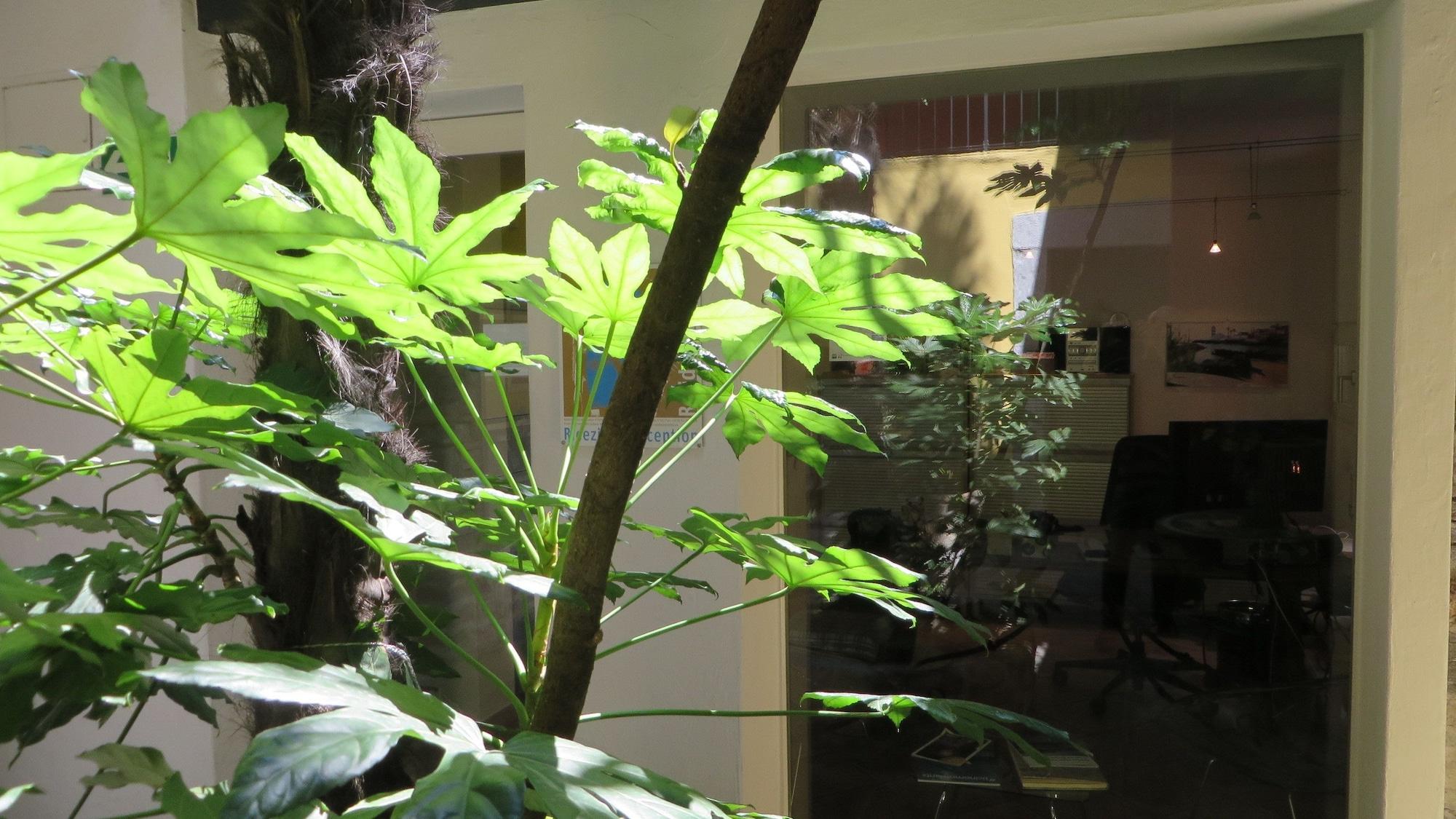 Vista Lobby Residenza Motta