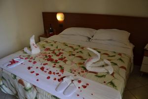 Alquiler Vacacional - Hotel Residence Domus