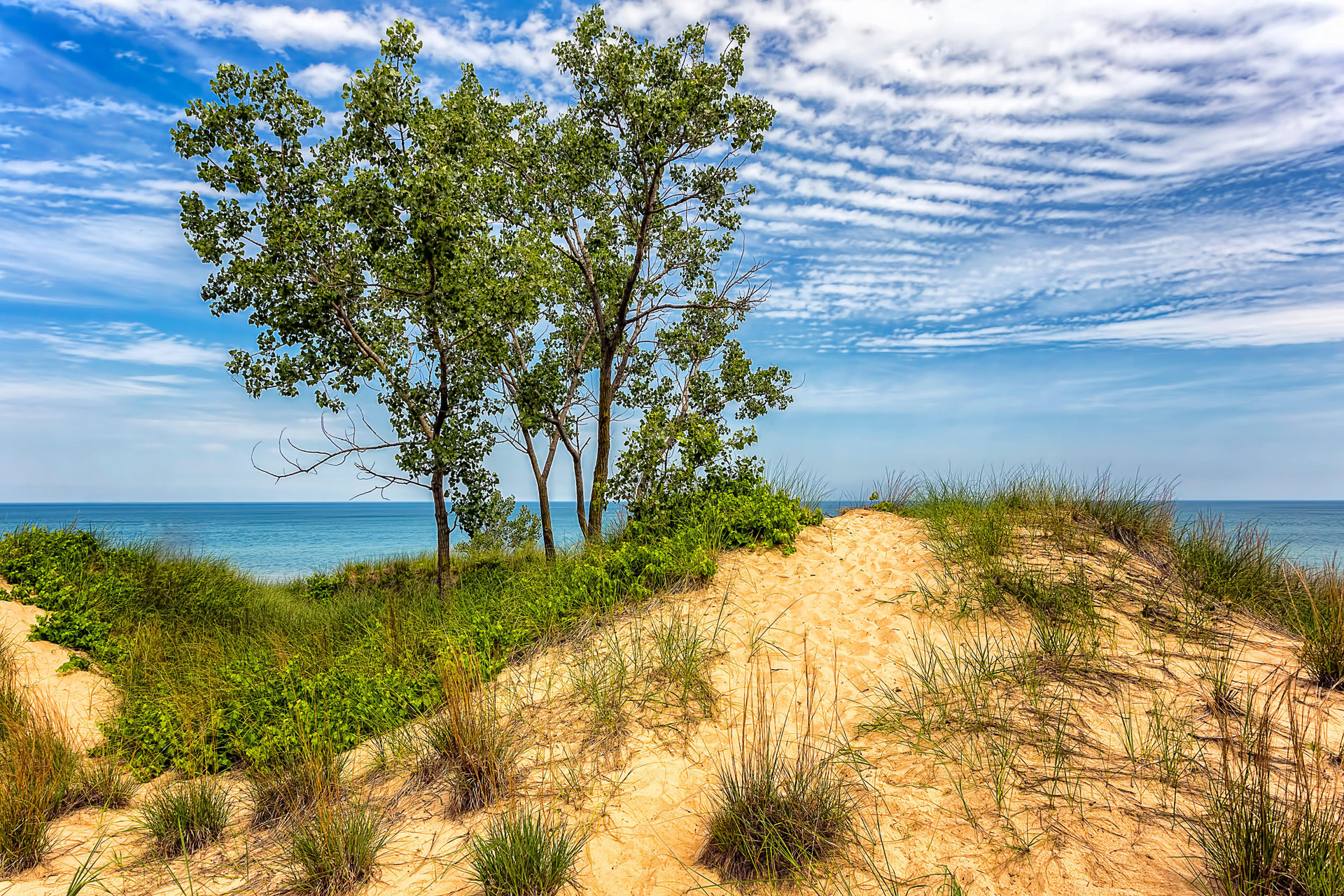 Vista Exterior Staybridge Suites Schererville