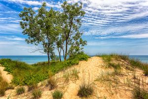 Alojamiento - Staybridge Suites Schererville