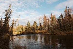 Alojamiento - Maria's Creekside B&B