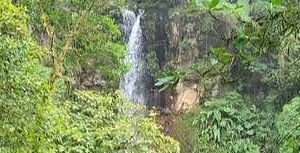 Activity - Cascadas Escondidas Hike