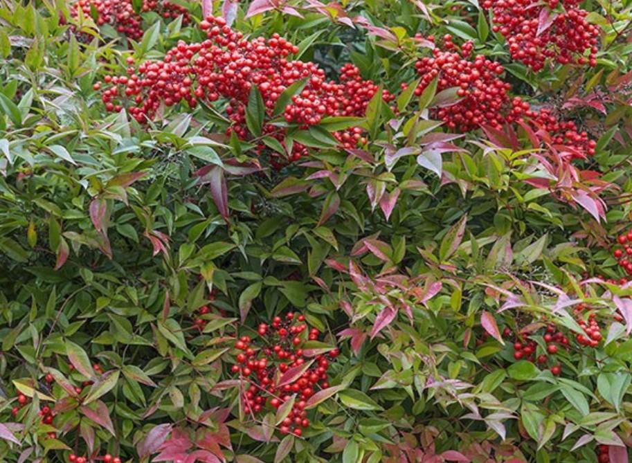 Vista Lobby DK Housing