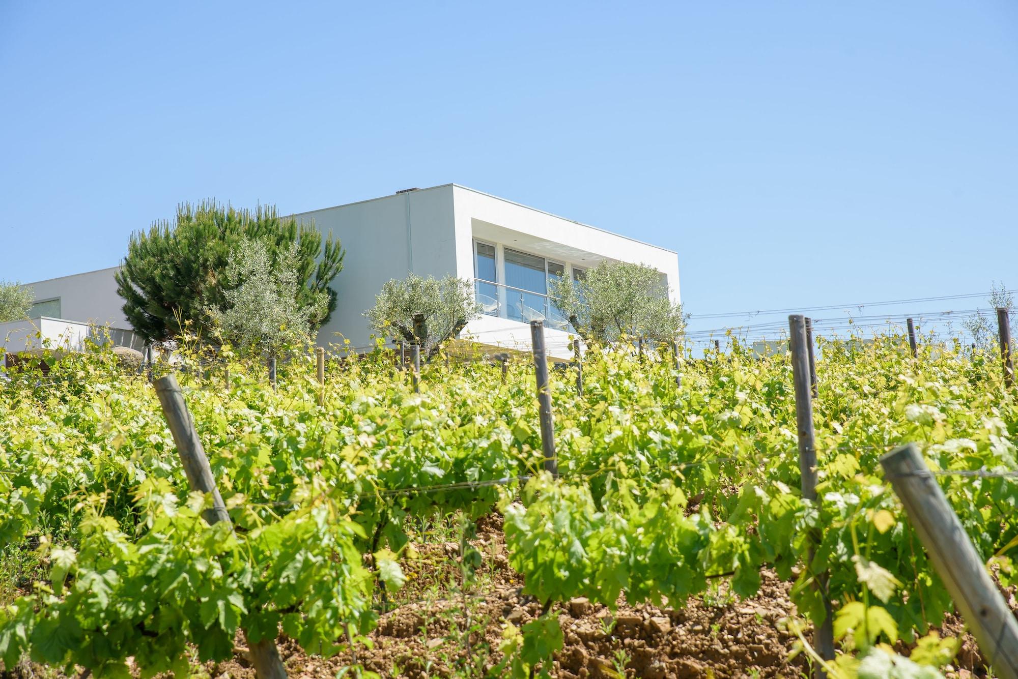 Vista Exterior Quinta do Bosque