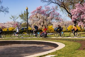 Actividad - Tour en Bicicleta por los Monumentos y Memorials