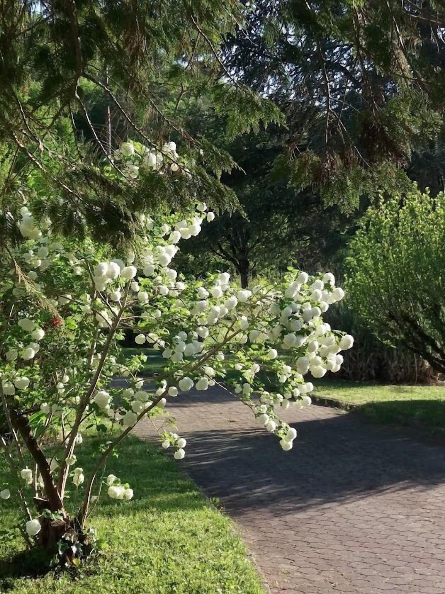 Vista Exterior Maison Blanche