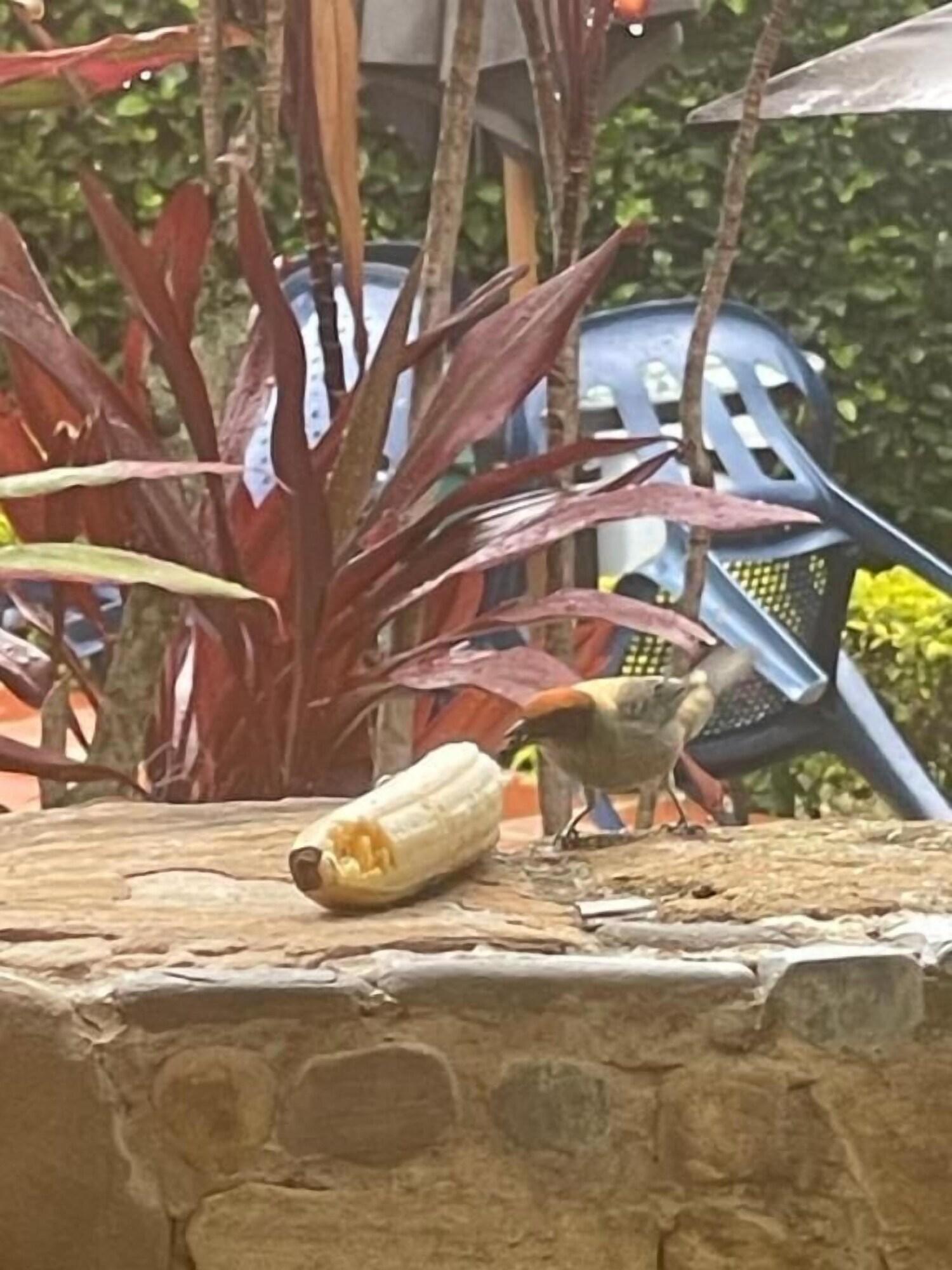 Comodidades del Alojamiento Quinta Baroe