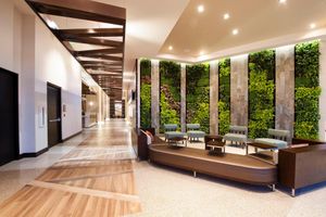 Alojamiento - Hilton Garden Inn San Jose La Sabana