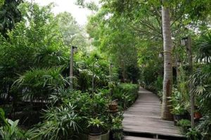 Alojamiento - Sunset Cove Resort