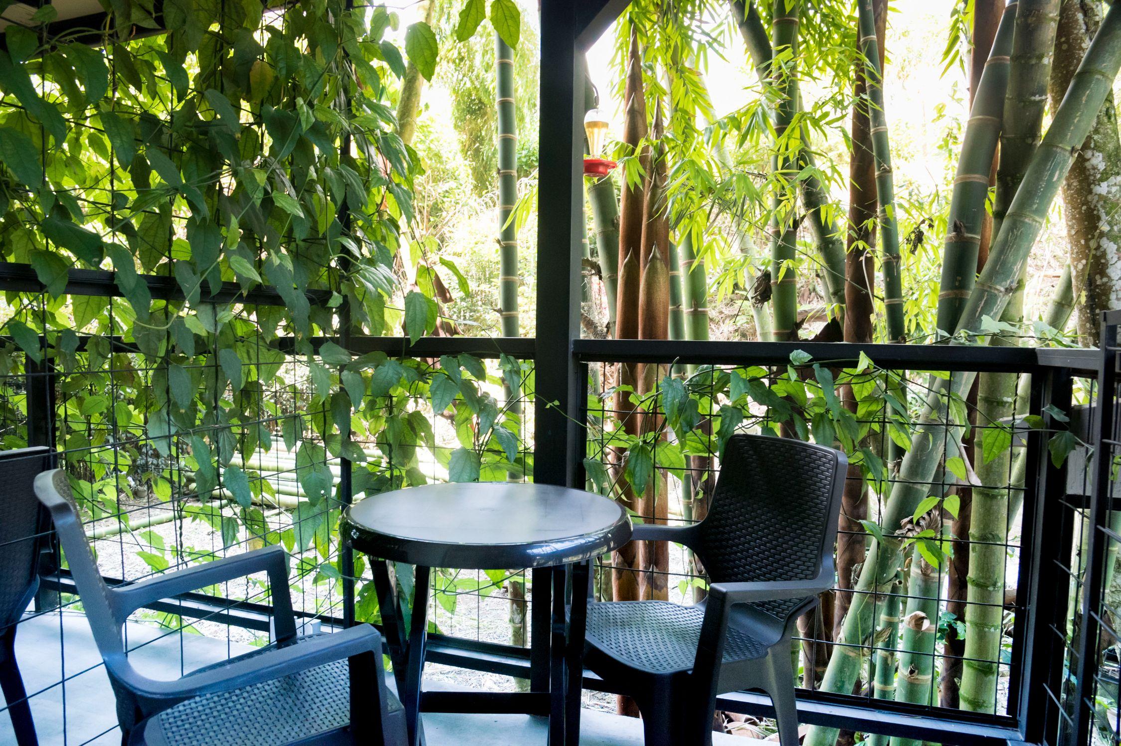 Vista Lobby Carriqui