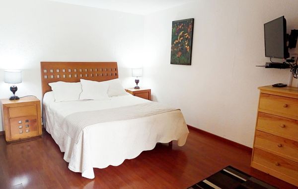 Garden House Welcome to San Ángel - Hoteles cerca de Six Flags en Ciudad de México