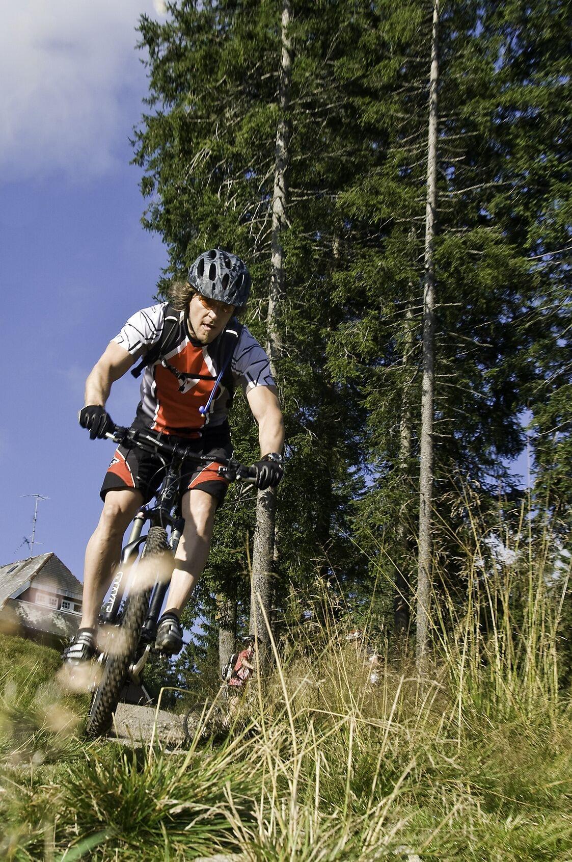 Varios Hotel Waldeck