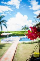Alojamiento - Finca El Placer Quindío