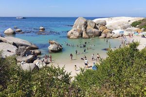 Actividad - Nadando con pingüinos en el encuentro cercano y el cabo de Buena Esperanza