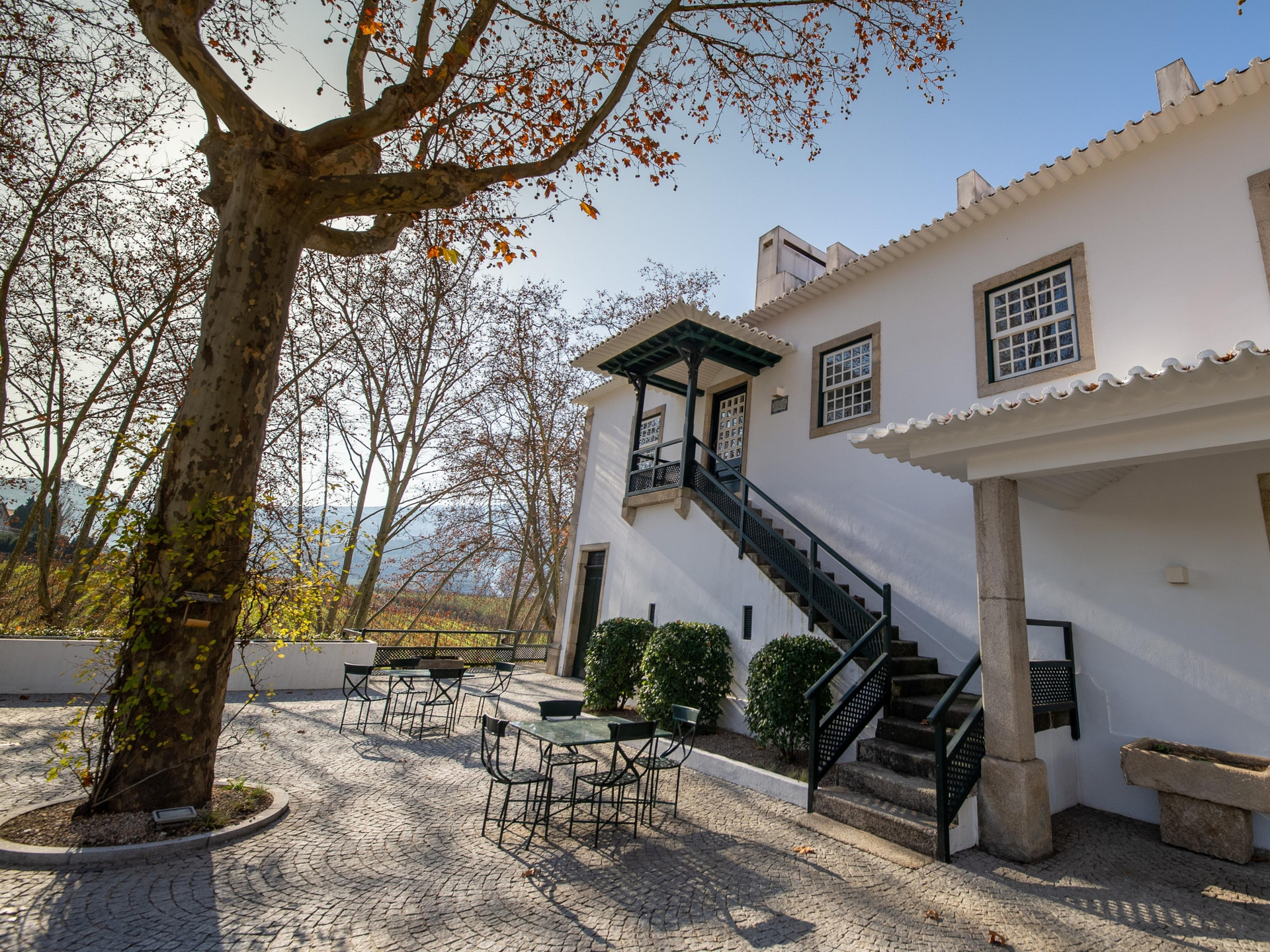 Vista Lobby The Wine House Hotel - Quinta da Pacheca