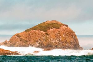Actividad - Excursión a Chacao, Ancud y las playas de Chiloé