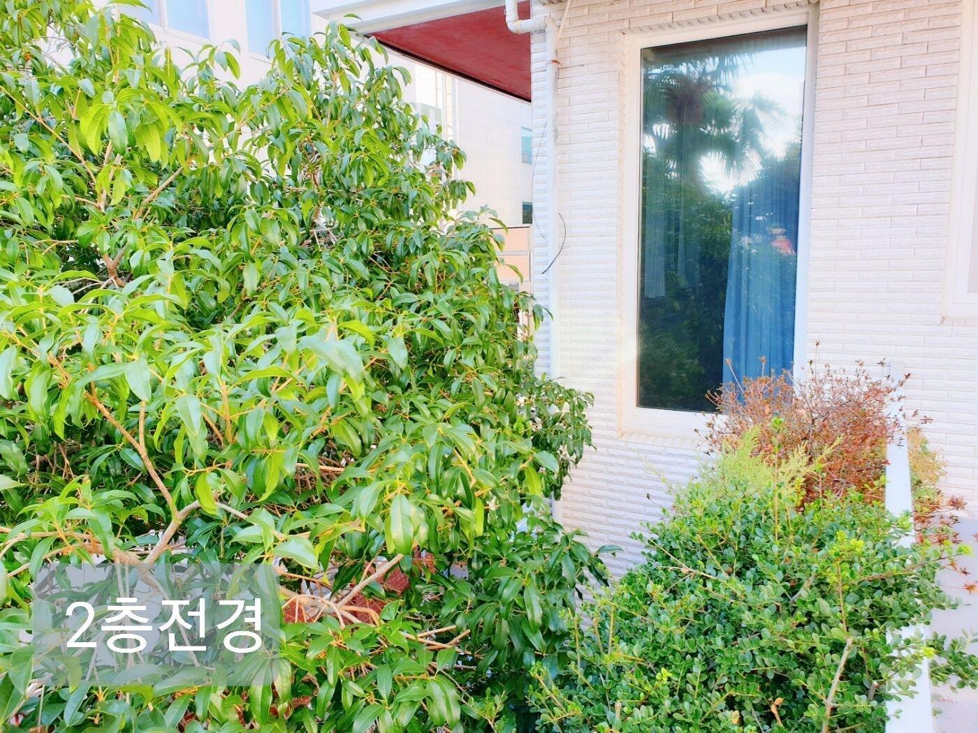 Vista Exterior Gallery Family Hotel