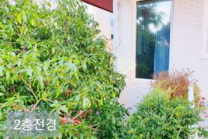 Alojamiento - Gallery Family Hotel