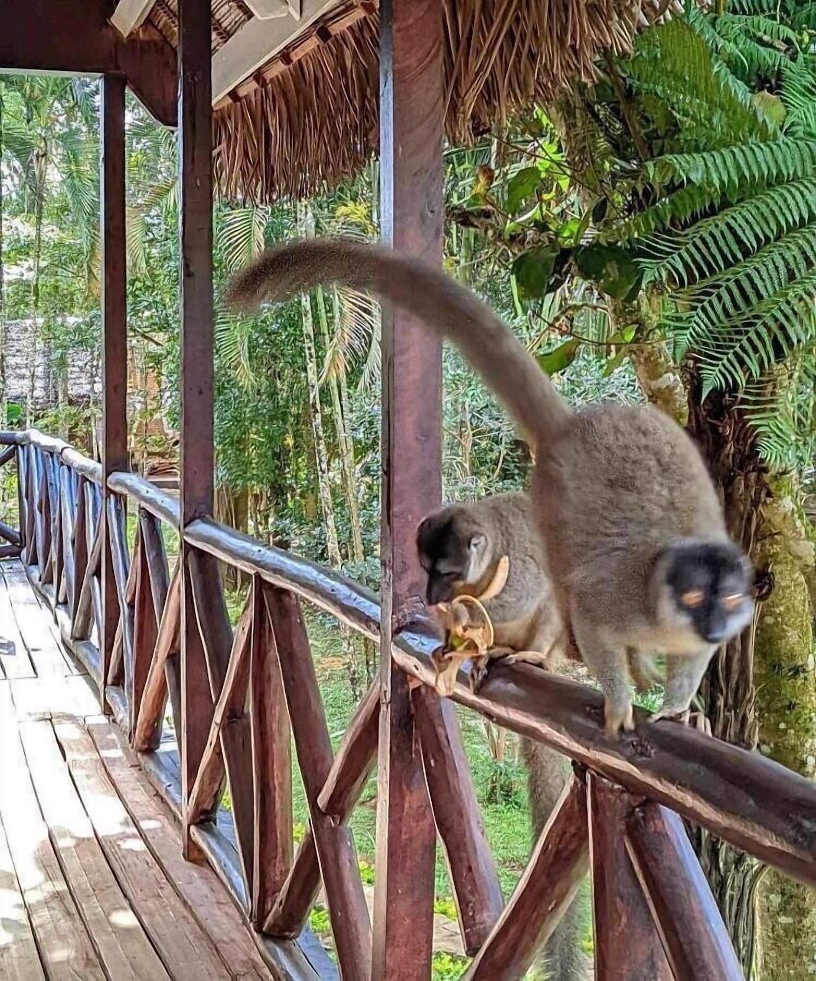 Equipamiento de Habitación Longoza Ecolodge