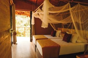 Alojamiento - Bosque Guardian Lodge
