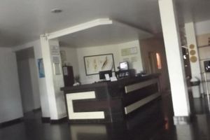 Alojamiento - Hotel Estrela