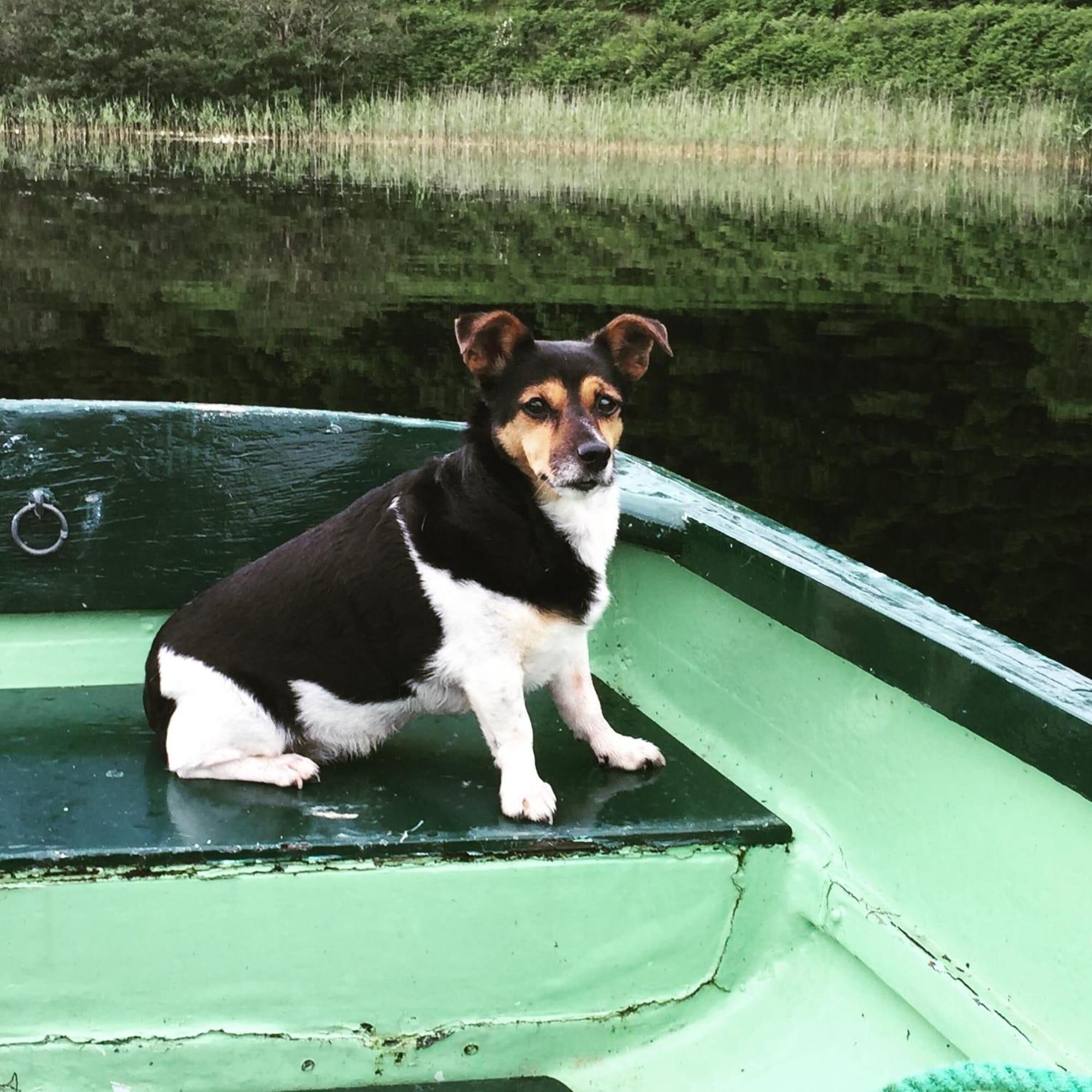 Gimnasio Melfort House