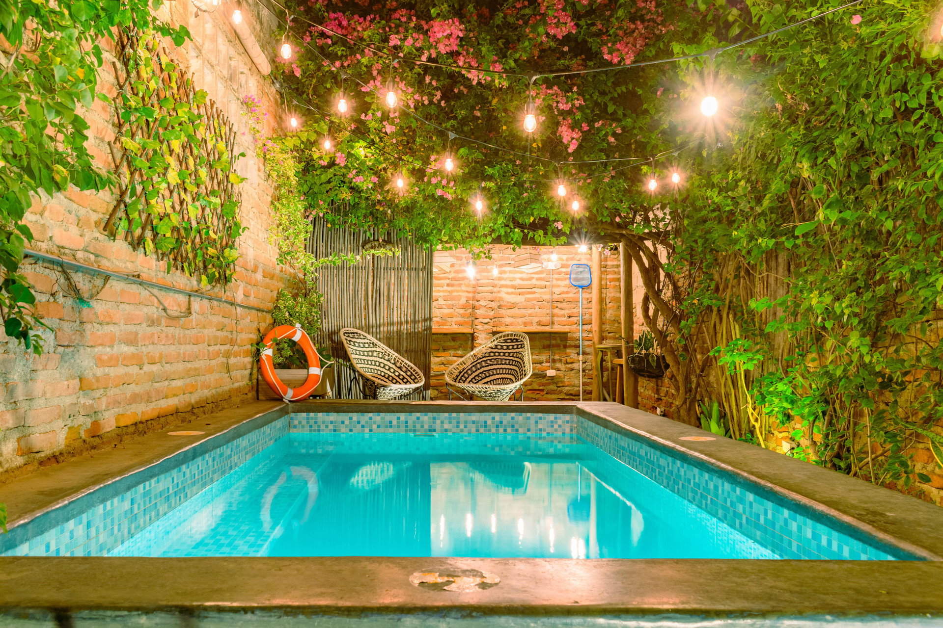 Vista Piscina Hostel Boutique Musa Paradisica