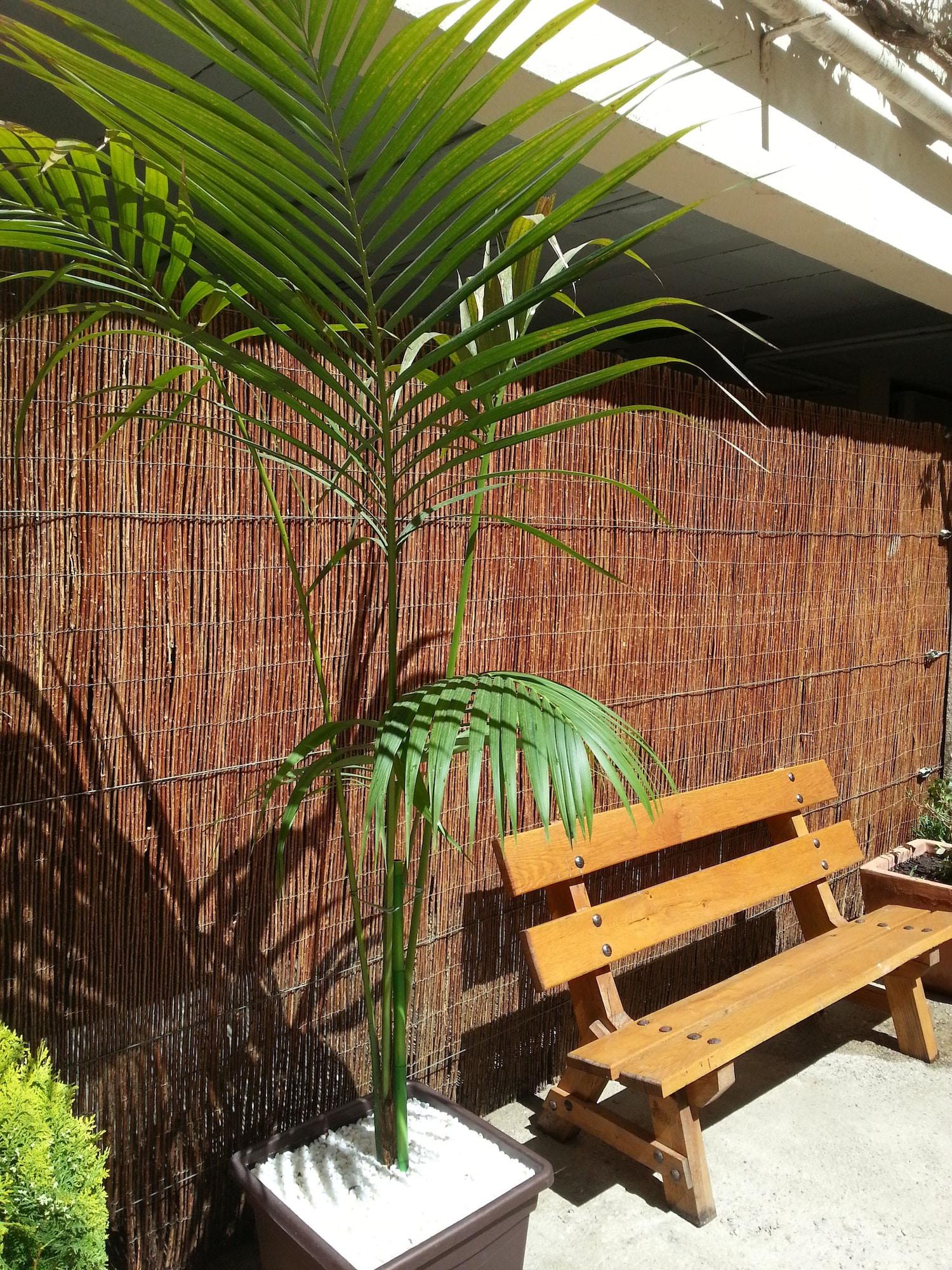 Vista Exterior Hotel Beri