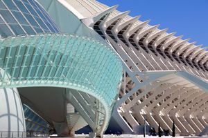 Actividad -  City of Arts and Sciences - Outdoor Experience