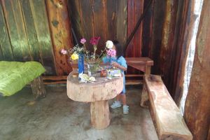 Alquiler Vacacional - Hotel y Temazcal en Solferino