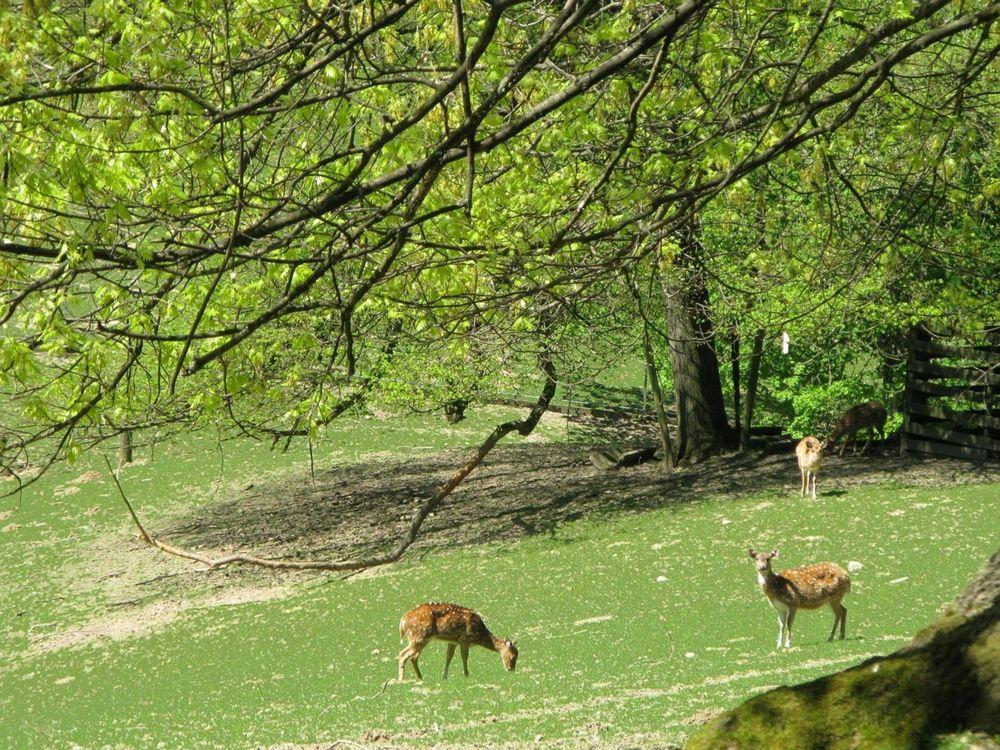 Instalaciones Recreativas Business & More Hamburg