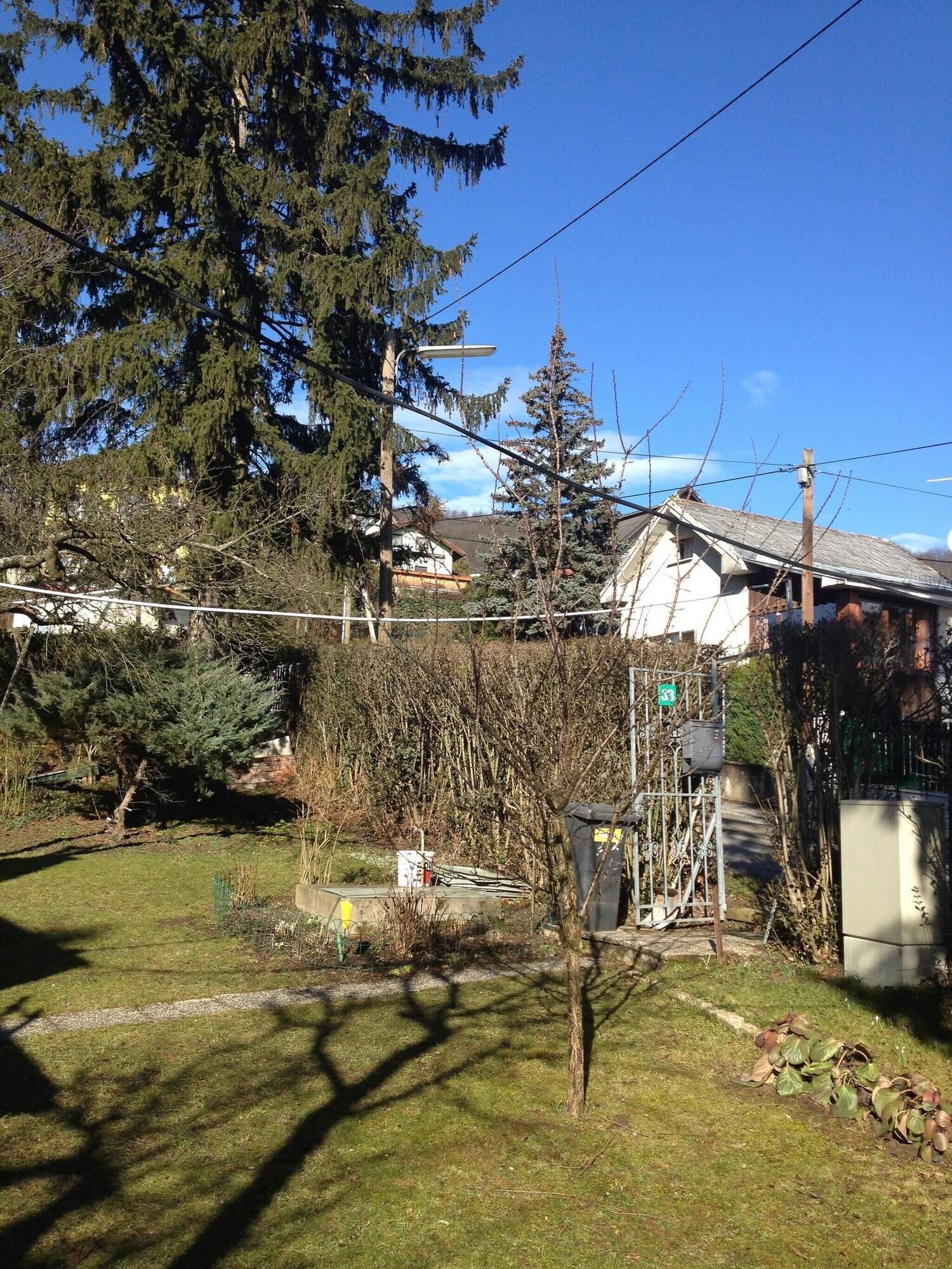 Vista Exterior Room-charming Vienna Retreat With Garden