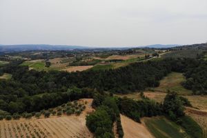 Alojamiento - I Coppi