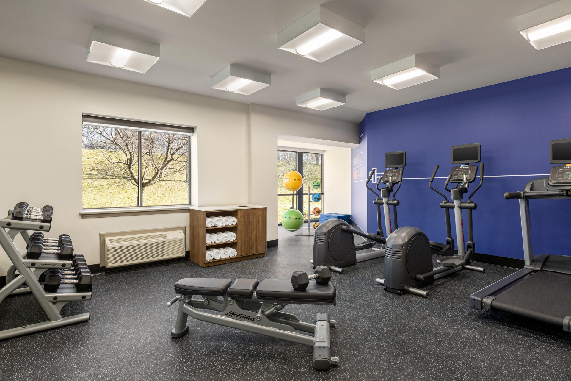 Instalaciones Recreativas Holiday Inn Express & Suites East Greenbush (Albany-Skyline) by IHG