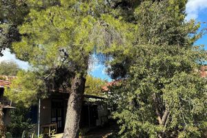 Alojamiento - Christys Palace Hotel