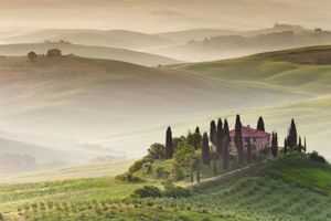 Actividad - Lo mejor de Toscana: Comida y degustación de vinos incluidos