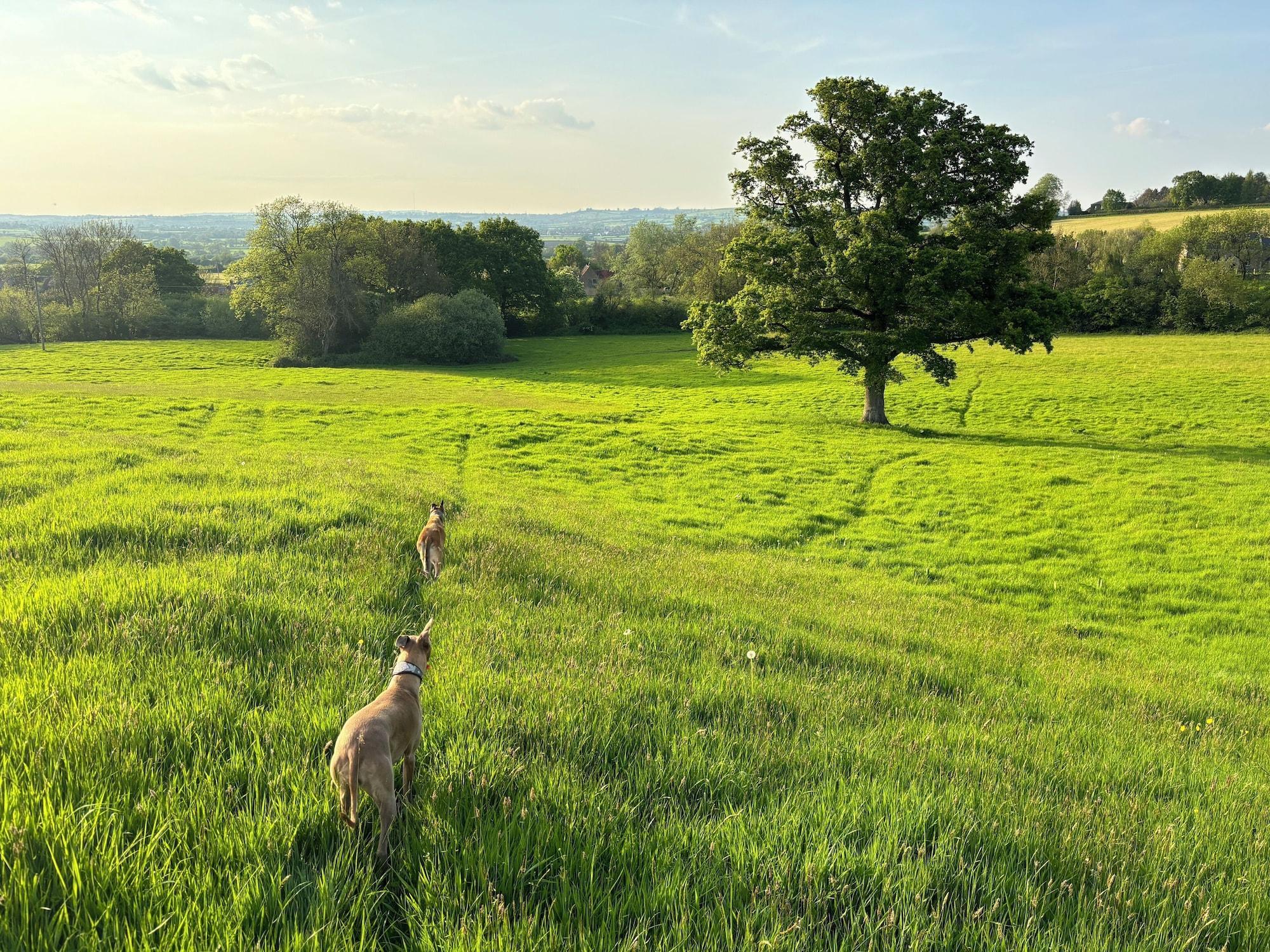 Instalaciones Recreativas Ellesmere House