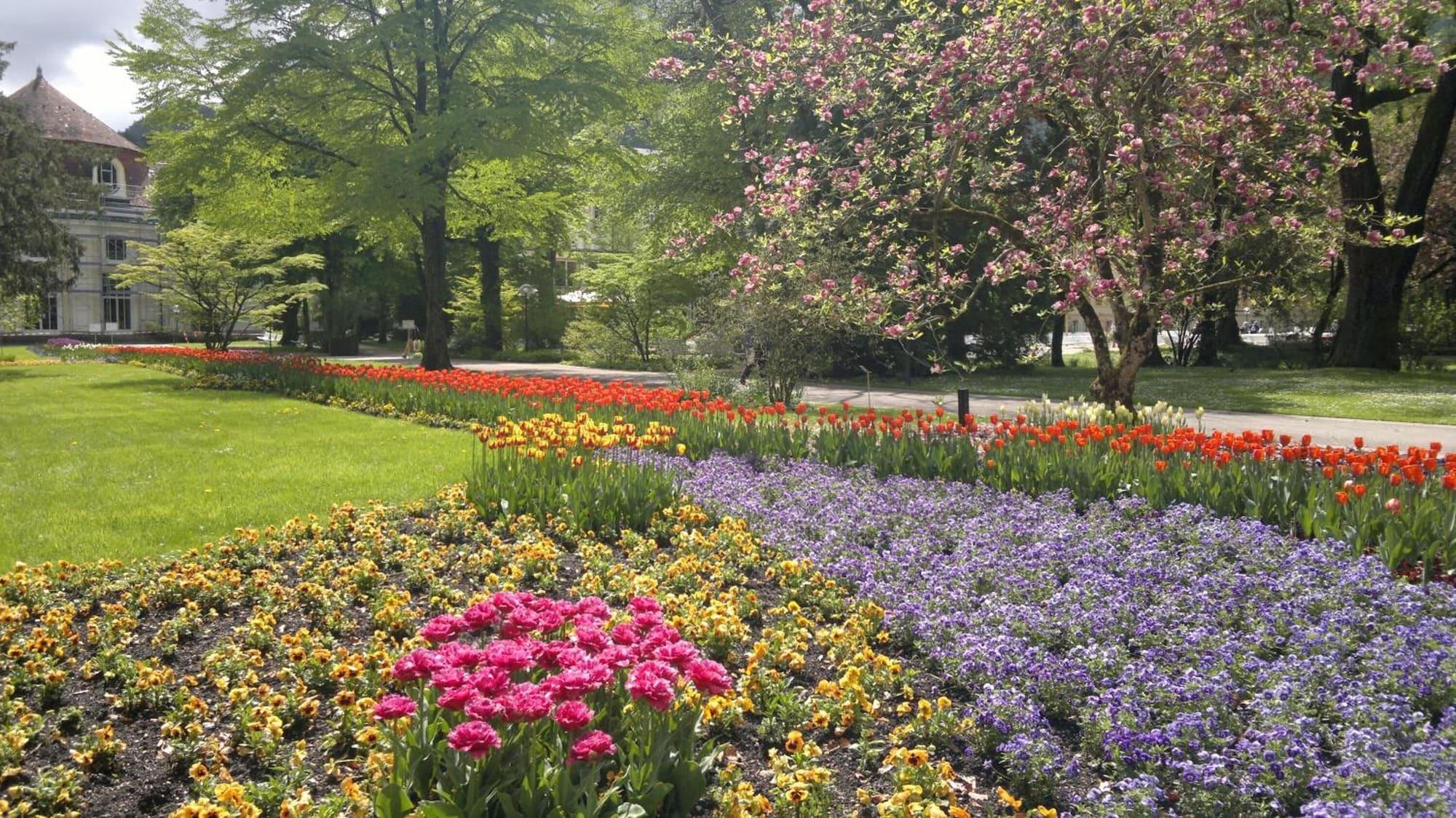 Comodidades del Alojamiento Hotel Garni Steiermark