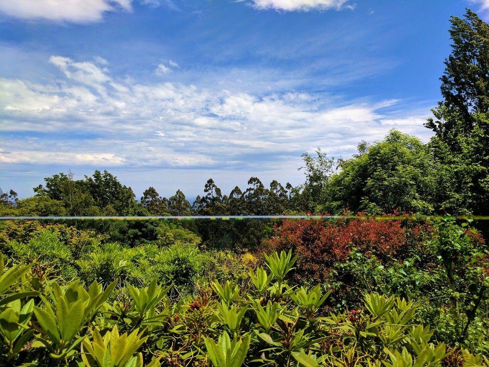 Varios Annie Roe's Luxury Bed & Breakfast