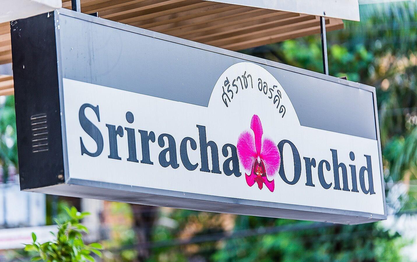 Vista Exterior Sriracha Orchid