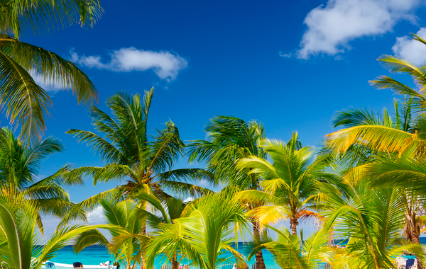 Grand Sirenis Punta Cana Resort & Aquagames – All Inclusive