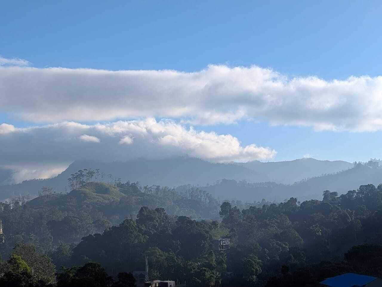 Varios ella dream mount