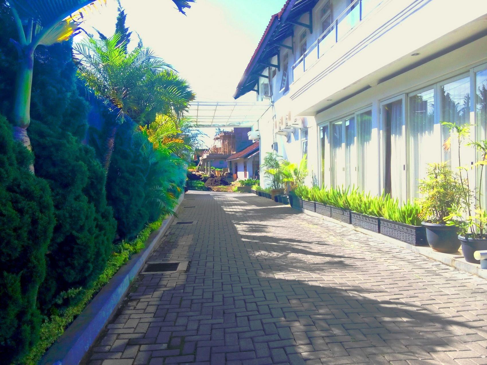 Vista Exterior Villa Chocolate