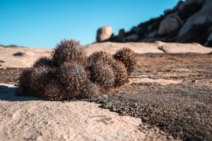 Alojamiento - The Village at Oeno