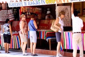 Actividad - Ixtapa Zihuatanejo, Acapulco y Barra de Potosí - Excursión en grupo pequeño
